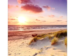 Hot Pro Art Glas-Art Sea Harmony 30 cm x 30 cm