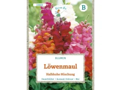 Outlet Grüne Fee Löwenmaul Halbhohe Mischung Saatgut