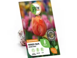GROW by OBI Papagei-Tulpe Avignon Parrot Rot 8 Stück Tulipa parrot