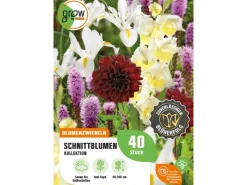 Clearance GROW by OBI Schnittblumen-Kollektion Höhe ca. 50 cm - 100 cm