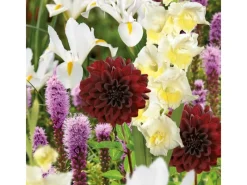 Clearance GROW by OBI Schnittblumen-Kollektion Höhe ca. 50 cm - 100 cm