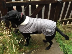 Discount Heim Hundemantel Banbury Mit Kragen Größe S Rückenlänge 40 cm