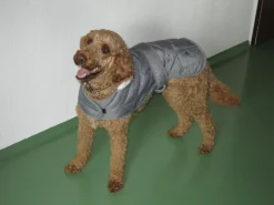 Discount Heim Hundemantel Banbury Mit Kragen Größe S Rückenlänge 40 cm