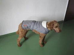 Discount Heim Hundemantel Banbury Mit Kragen Größe S Rückenlänge 40 cm