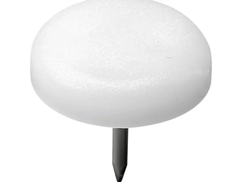 Clearance Hettich Kunststoffgleiter mit Stift Ø 22 mm x 20 mm Weiß 8 Stück