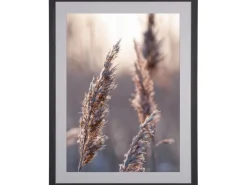 Holzbilderrahmen Breit 60 cm x 80 cm