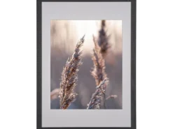 Holzbilderrahmen Breit 50 cm x 70 cm