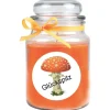 HS Candle Duftkerze & Bonbon Glas Viel Glück Orange Honigmelone