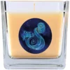 HS Candle Duftkerze & Glas Sternzeichen Vanille 50 Stunden Wassermann