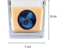 HS Candle Duftkerze & Glas Sternzeichen Vanille 50 Stunden Wassermann