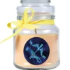 Outlet HS Candle Duftkerze & Glas Sternzeichen Vanille 30 Stunden Schütze