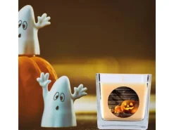 New HS Candle Duftkerze & Glas Halloween Creme Bonbon 50h