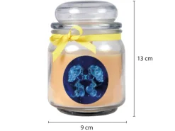 Sale HS Candle Duftkerze & Glas Sternzeichen Vanille 70 Stunden Zwillinge