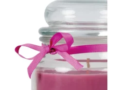 Discount HS Candle Duftkerze & Glas Sternzeichen Lavendel 110 Stunden Fische