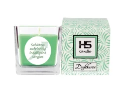 Clearance HS Candle Duftkerze & Glas Sternzeichen Coconut Limes 50 Stunden Schütze