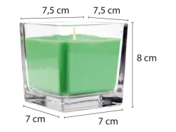 Clearance HS Candle Duftkerze & Glas Sternzeichen Coconut Limes 50 Stunden Schütze