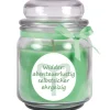 HS Candle Duftkerze & Glas Sternzeichen Coconut Limes 70 Stunden Widder