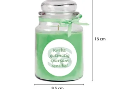 Hot HS Candle Duftkerze & Glas Sternzeichen Coconut Limes 110 Stunden Krebs