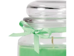 Hot HS Candle Duftkerze & Glas Sternzeichen Coconut Limes 110 Stunden Krebs