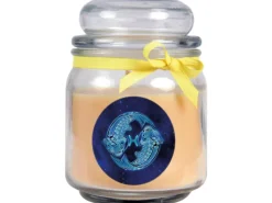 Online HS Candle Duftkerze & Glas Sternzeichen Vanille 70 Stunden Fische