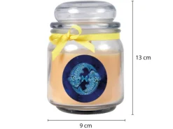 Online HS Candle Duftkerze & Glas Sternzeichen Vanille 70 Stunden Fische