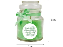 HS Candle Duftkerze & Glas Sternzeichen Coconut Limes 30 Stunden Steinbock