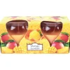 Hot HS Candle Duftkerze Creation Kerzen 2er Pack Mango Sorbet