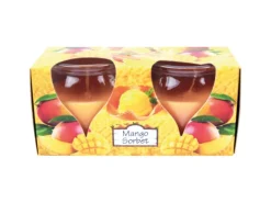 Hot HS Candle Duftkerze Creation Kerzen 2er Pack Mango Sorbet
