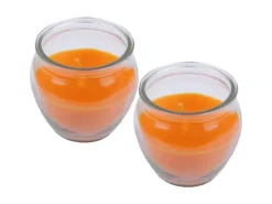 Hot HS Candle Duftkerze Creation Kerzen 2er Pack Mango Sorbet