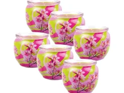 HS Candle Duftkerze Motiv 6er Pack Blütenzauber