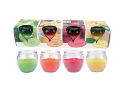 HS Candle Duftkerzen Selection 12er Pack Fruit Selection