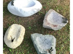 Hot Insektentränke mit Schmetterling 20 cm x 30 cm