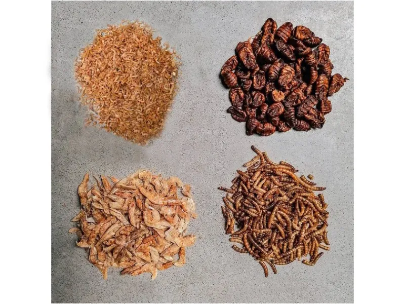 Hot Insektus Mehr Sorten Mix Koifutter 5 Liter