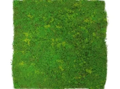 Jangal Wandpaneel Modular Wall Light Green Fibre Design Moos 52 x 52 cm