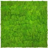 Clearance Jangal Wandpaneel Modular Wall Bright Green Moos 52 x 52 cm