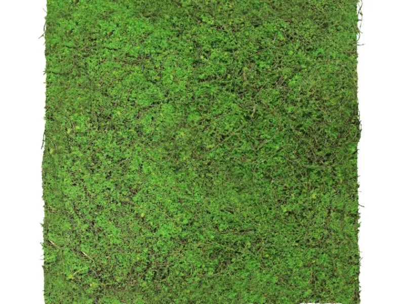 Sale Jangal Wandpaneel Modular Wall Forest Green Ancient Tree 52 x 52 cm