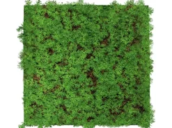 Hot Jangal Wandpaneel Modular Wall Thuja Tea Tree 52 x 52 cm