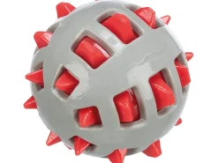 Outlet Jollypaw Ball mit Noppen TPR Ø 10 cm Grau