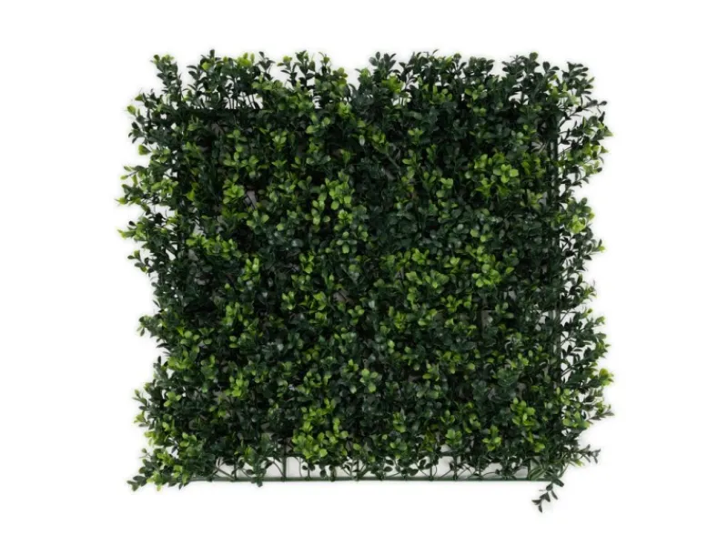 Discount Karat Pflanzenwand Boxwood Kunstpflanze zur Dekoration 50 x 50 cm Grün