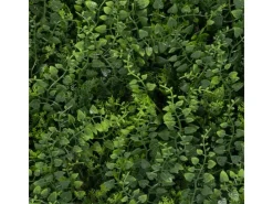 Sale Karat Pflanzenwand Fern Kunstpflanze zur Dekoration 50 x 50 cm Grün