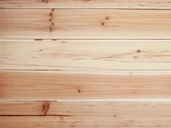 Hot Kinder-Bierzeltgarnitur Talara FSC-Tannenholz Natur