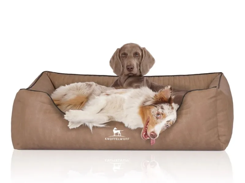 Knuffelwuff Hundebett Tampa Orthopädisch Kunstleder XXL 120 x 85cm