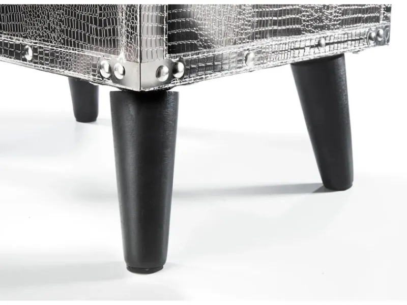 Kobolo Kommode Regal Nachttisch in Kofferoptik Silberfarben 2 Fächer Kunstleder und Holz