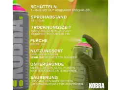 Kobra DIY Fluo Buntlack Spray 400ml Flour Neon Matt