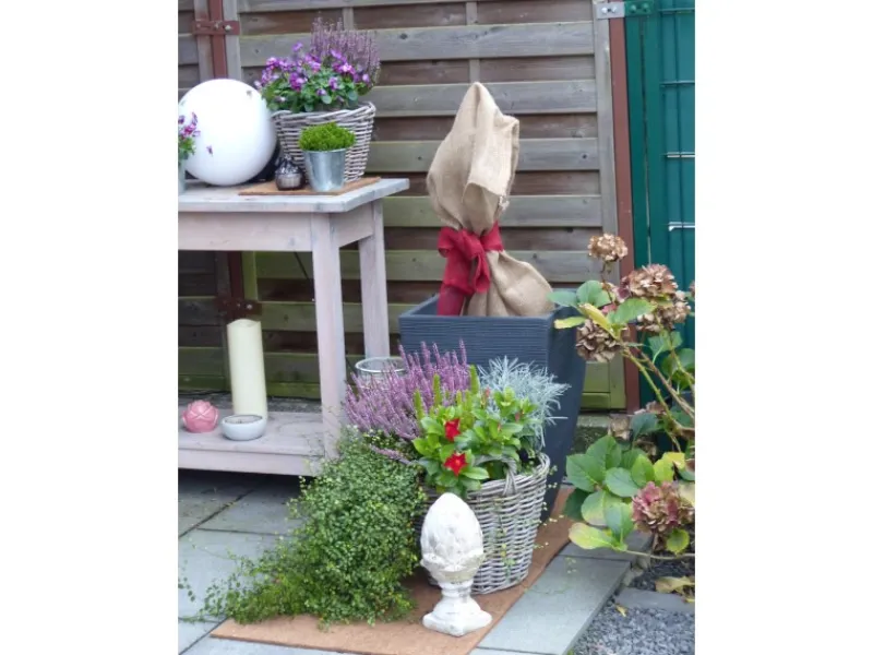 Proflora Kokosfaser Rückwand für Terrarien 120 cm x 60 cm