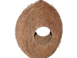 Proflora Kokoshöhle - Laichhöhle, Tierversteck für Insekten oder Spinnen 1/1