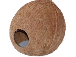 Sale Proflora Kokoshöhle - Laichhöhle, Tierversteck für Insekten oder Spinnen 3/4