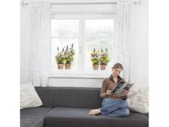 Online Komar Fenstersticker Springtime 31 cm x 31 cm