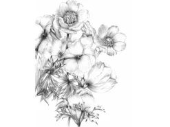 Online Komar Fototapete Embroidery Schwarz-Weiß 184 x 248 cm 611112