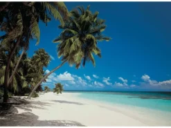 Komar Fototapete Maldives 388 cm x 270 cm FSC®